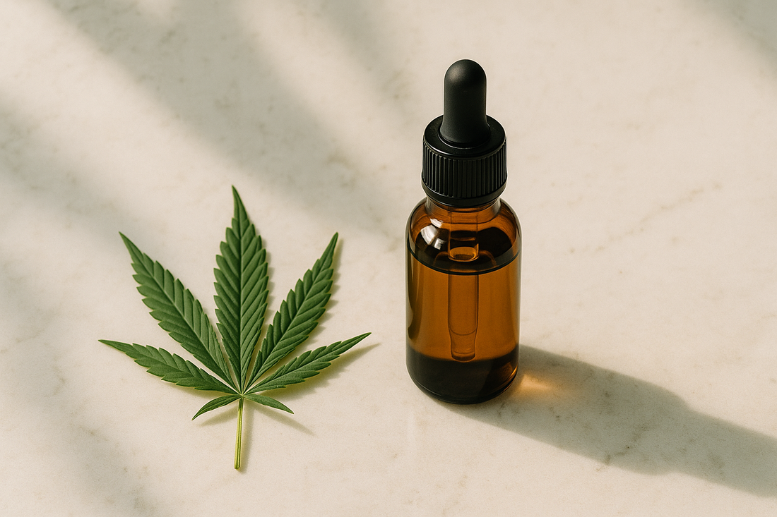 🌿 CBD Lifestyle : l’art de vivre en harmonie avec la nature